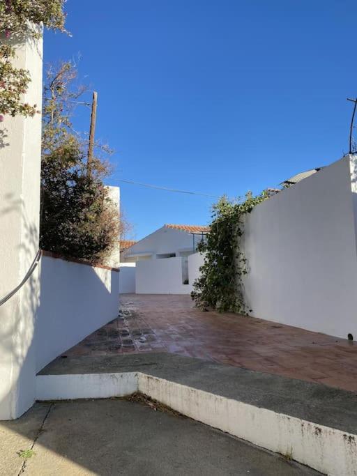 Tusquets - Apartamento Con Vistas Al Mar Cadaqués Eksteriør billede